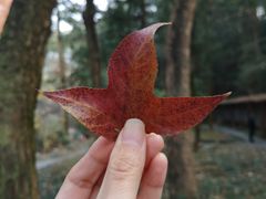 -白鹿洞书院