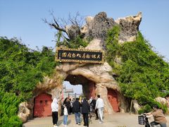 -大槐树寻根祭祖园