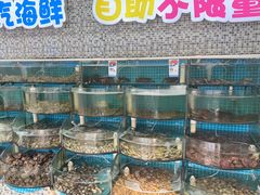 -仙螺岛海鲜自助餐厅(总店)