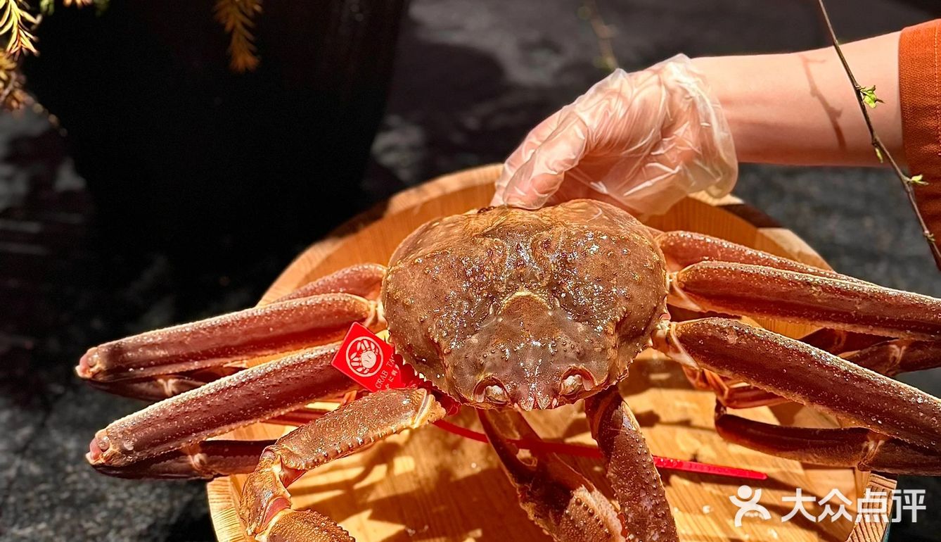 今天请你吃螃蟹的姐姐🦀