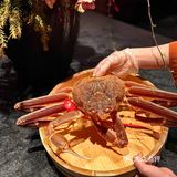 今天请你吃螃蟹的姐姐🦀