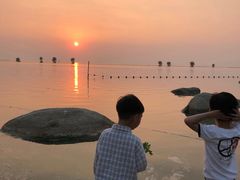 -滆湖低碳生态公园
