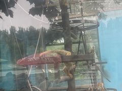 -秦皇岛野生动物园