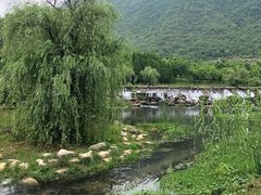 -贵阳市花溪国家城市湿地公园