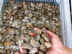-红月湾海鲜饭店•沙滩海景(双月湾店)