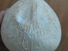 牛奶椰-新鸿港水果市场