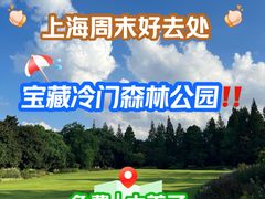 -上海滨江森林公园