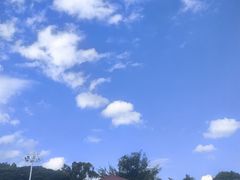 -厦门邮轮中心厦鼓码头(轮渡站)
