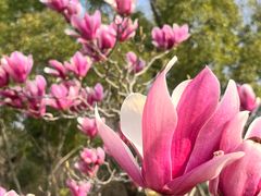 -白塘生态植物园