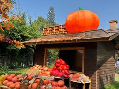 -HERRE·FARM 赫尔露营农场·团建聚会包场