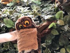 -宜家家居（上海徐汇商场店）-停车场