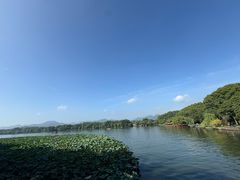 -楼外楼(西湖景区孤山路店)