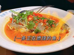 -坛宗剁椒鱼头(河西王府井店)