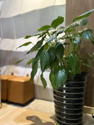 -香秀空间科技抗衰·美容中心