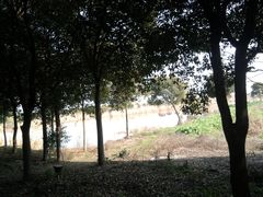 肖甸湖-同里国家湿地公园