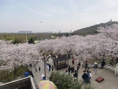 -苏州上方山国家森林公园