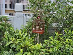 -园圃街雀鸟花园