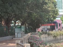 -黄沙码头