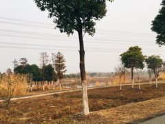 -南湖湿地公园