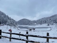-武陵山森林公园