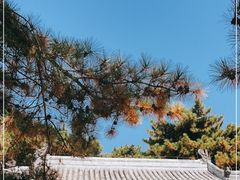 -潭柘寺景区