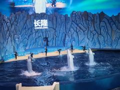 -珠海长隆海洋王国