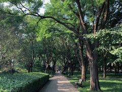 -玲珑塔公园