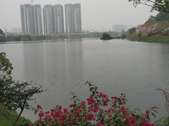 -广东花都湖国家湿地公园