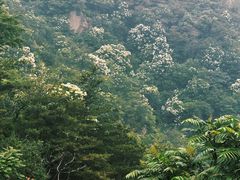-阳台山自然风景区