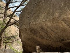 -崂山巨峰游览区