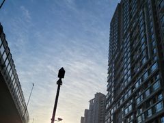 -小杨烤肉(朱雀店)