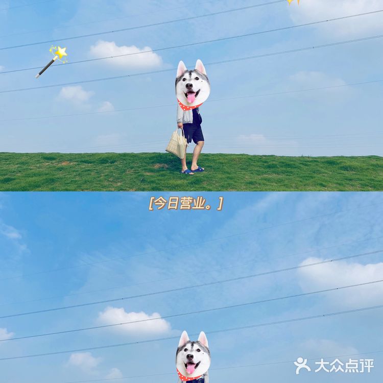 南京佛手湖公园✨～0⃣️元郊野公园