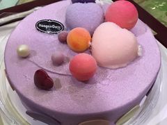 -哈根达斯(西安北郊店)