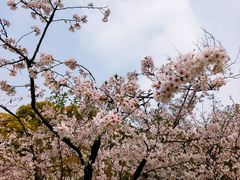 -苏州上方山国家森林公园