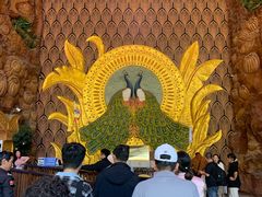 -西双版纳原始森林公园