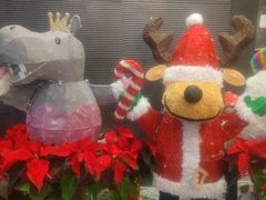 -鼎泰丰(渔阳店)