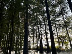 -东湖落雁景区