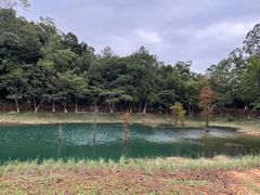 -大雁山风景区