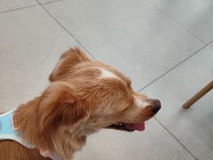 -全心全意动物诊疗中心医院(北苑店)