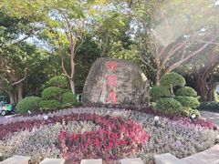 -野狸岛