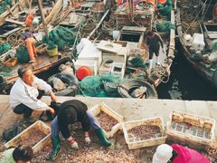 -青岛沙子口国家中心渔港