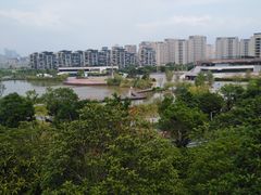 -飞凤山奥体公园
