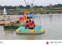 -荷兰花海