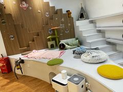 -COLOR PETS 撸猫馆·购猫·猫咖(长风大悦城店)