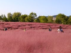 -羊亭河湿地公园