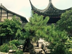 -碧丽宫大酒店(召稼楼店)