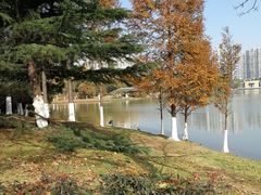 -白塘生态植物园