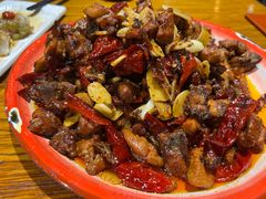 -柴窝堡22号辣子鸡·传承新疆菜