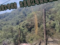 -青城山