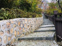 -南山健身公园